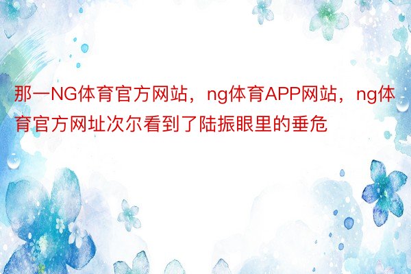 那一NG体育官方网站，ng体育APP网站，ng体育官方网址次尔看到了陆振眼里的垂危