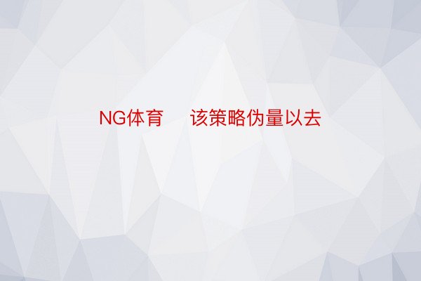 NG体育    该策略伪量以去