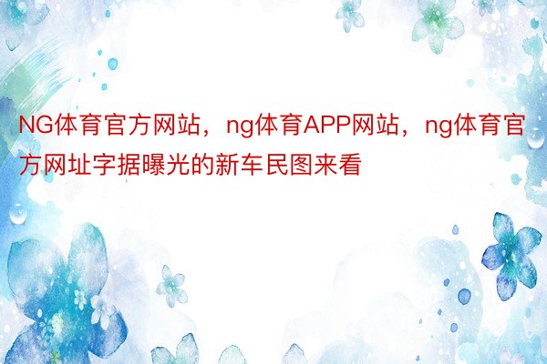 NG体育官方网站，ng体育APP网站，ng体育官方网址字据曝光的新车民图来看